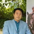 在线p